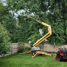 Best Tree Cabling and Bracing  in Meron Park, CA