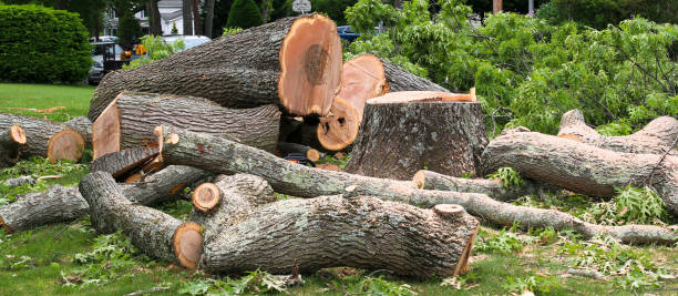 Best Utility Line Clearance  in Meron Park, CA